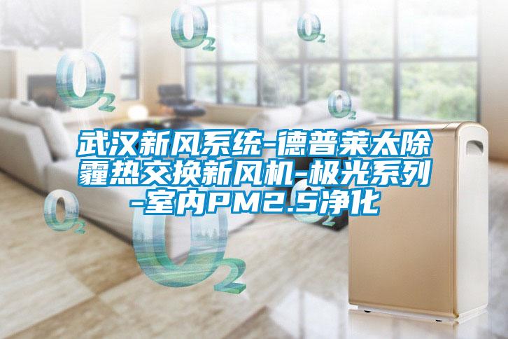 武漢新風系統-德普萊太除霾熱交換新風機-極光系列-室內PM2.5凈化