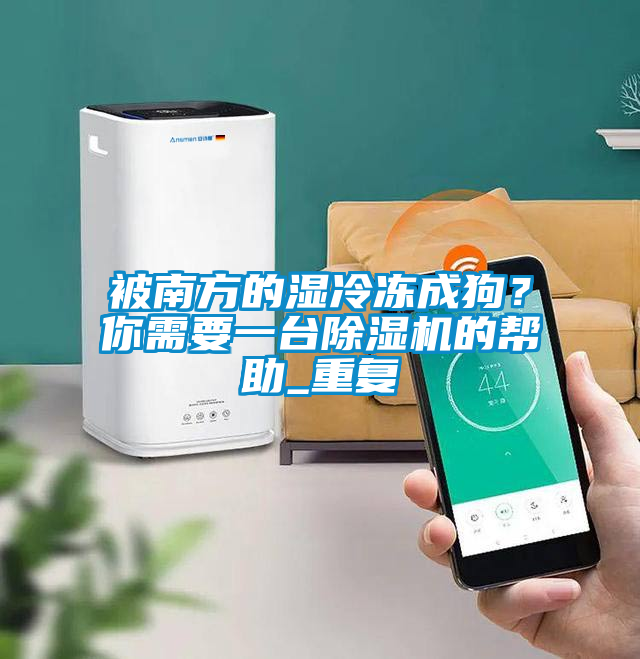 被南方的濕冷凍成狗？你需要一臺除濕機的幫助_重復