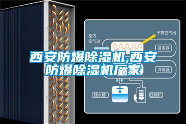 西安防爆除濕機,西安防爆除濕機廠家