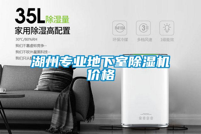 湖州專業地下室除濕機價格