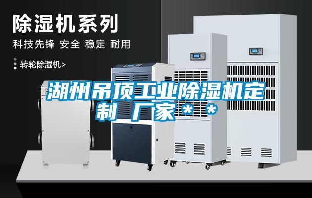 湖州吊頂工業除濕機定制 廠家＊＊