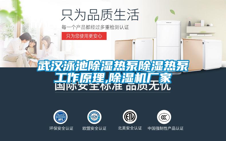 武漢泳池除濕熱泵除濕熱泵工作原理,除濕機廠家