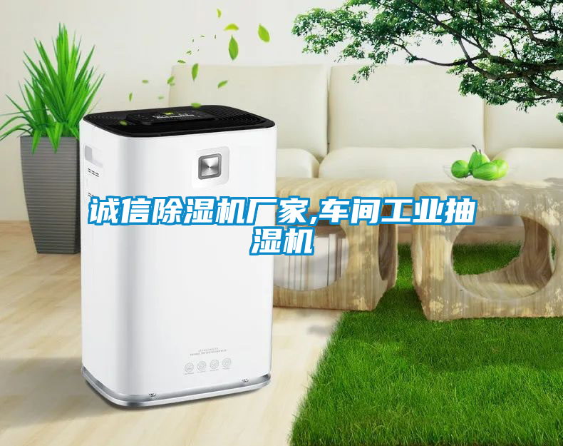誠信除濕機廠家,車間工業抽濕機