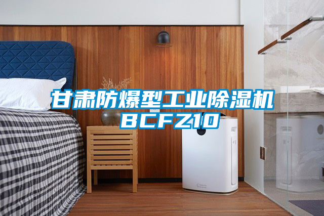 甘肅防爆型工業除濕機 BCFZ10