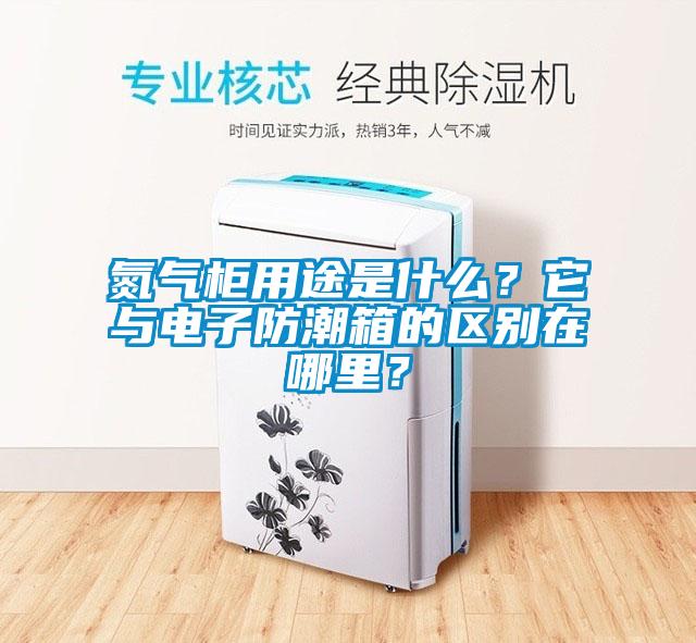 氮?dú)夤裼猛臼鞘裁矗克c電子防潮箱的區(qū)別在哪里？