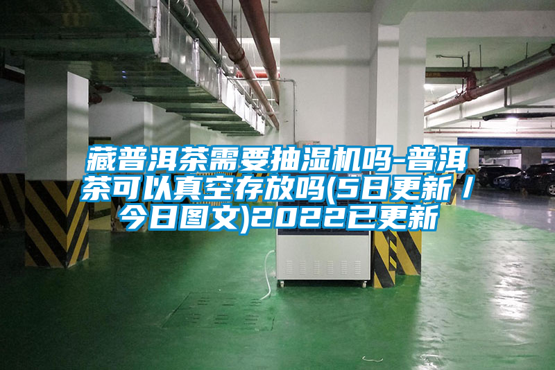 藏普洱茶需要抽濕機嗎-普洱茶可以真空存放嗎(5日更新／今日圖文)2022已更新