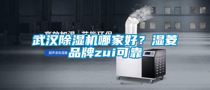 武漢除濕機(jī)哪家好？濕菱品牌zui可靠