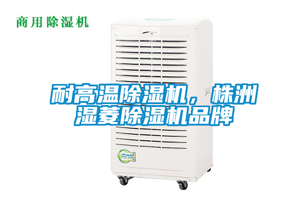 耐高溫除濕機，株洲濕菱除濕機品牌