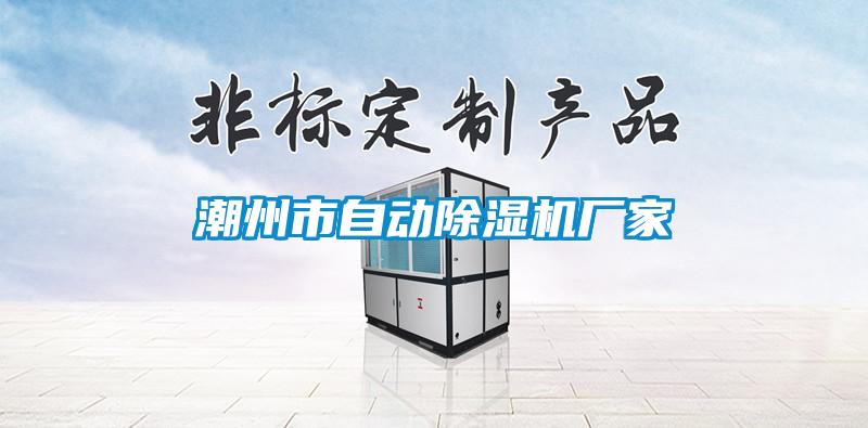 潮州市自動除濕機廠家