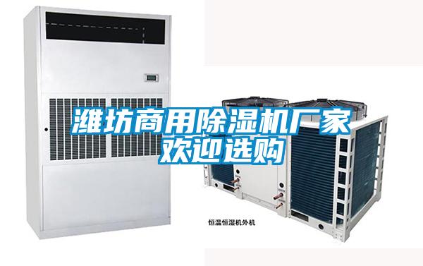濰坊商用除濕機廠家 歡迎選購
