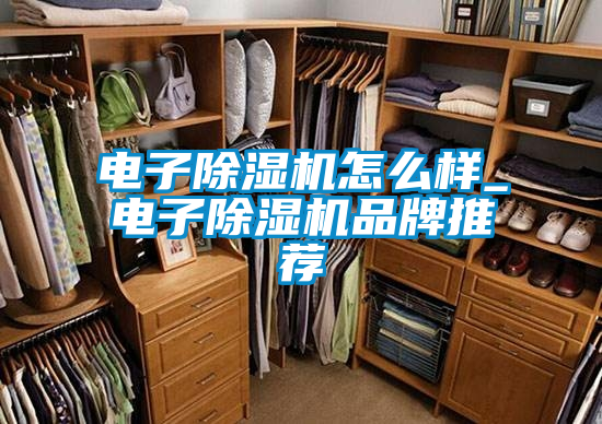電子除濕機怎么樣_電子除濕機品牌推薦