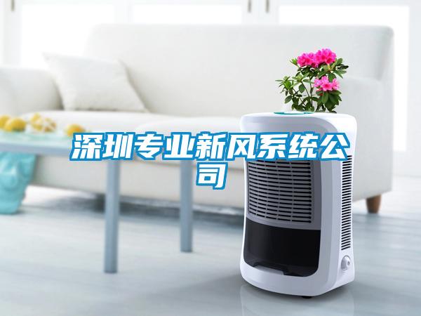 深圳專業(yè)新風(fēng)系統(tǒng)公司