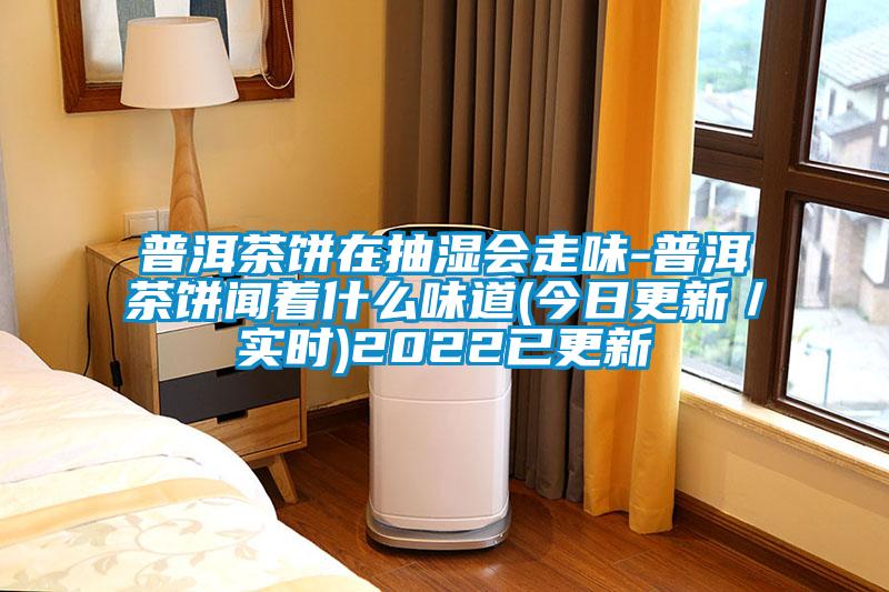 普洱茶餅在抽濕會走味-普洱茶餅聞著什么味道(今日更新／實時)2022已更新
