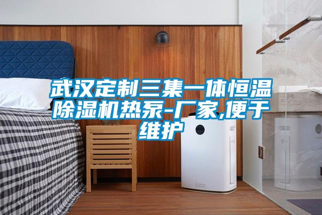 武漢定制三集一體恒溫除濕機熱泵-廠家,便于維護
