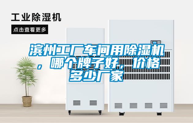 濱州工廠車間用除濕機，哪個牌子好，價格多少廠家