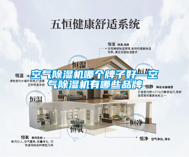 空氣除濕機哪個牌子好—空氣除濕機有哪些品牌