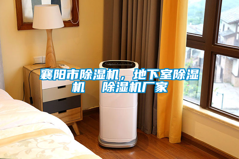 襄陽市除濕機，地下室除濕機  除濕機廠家