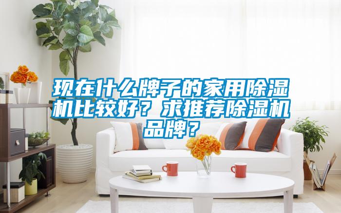 現(xiàn)在什么牌子的家用除濕機(jī)比較好？求推薦除濕機(jī)品牌？