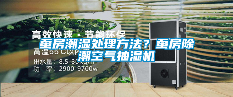 蠶房潮濕處理方法？蠶房除潮空氣抽濕機