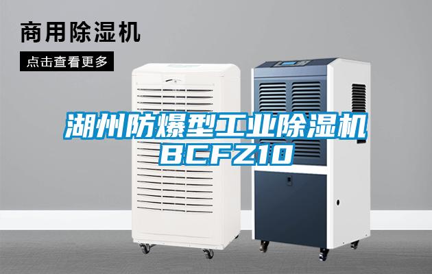 湖州防爆型工業除濕機 BCFZ10