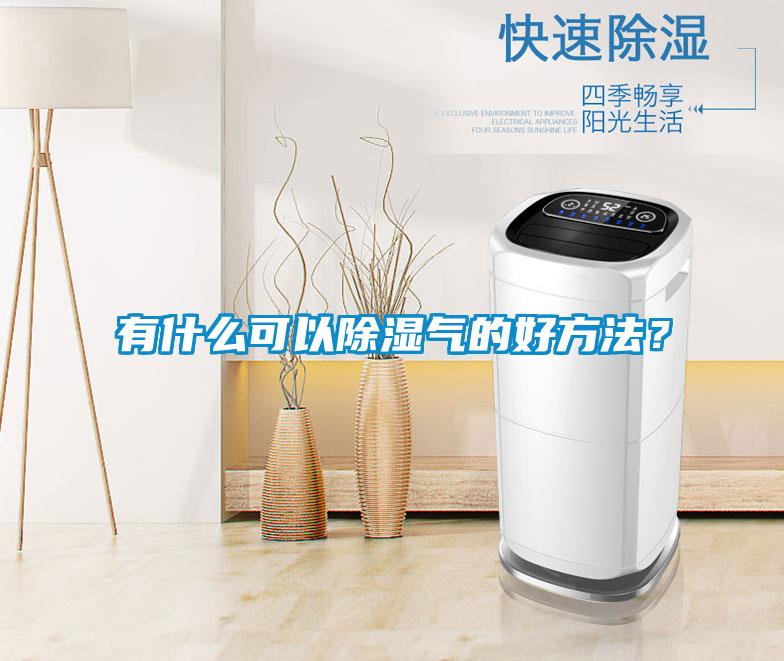 有什么可以除濕氣的好方法？