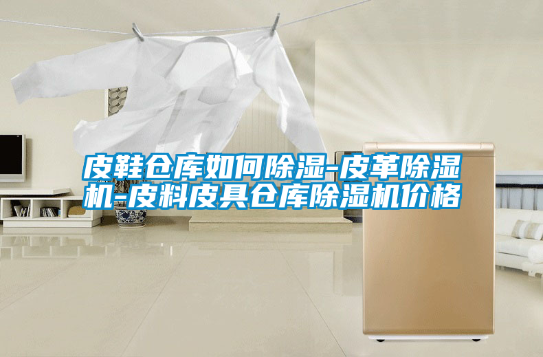 皮鞋倉庫如何除濕-皮革除濕機-皮料皮具倉庫除濕機價格