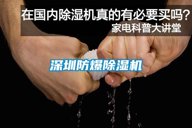 深圳防爆除濕機