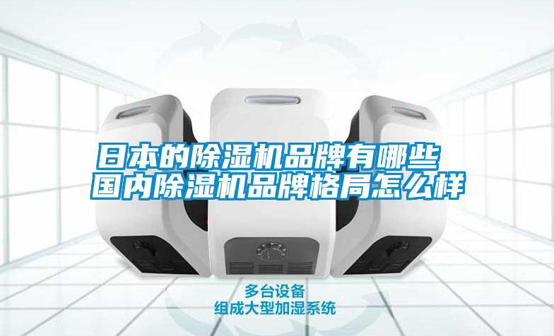 日本的除濕機品牌有哪些 國內(nèi)除濕機品牌格局怎么樣