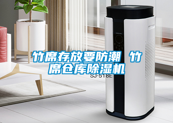 竹席存放要防潮 竹席倉庫除濕機(jī)