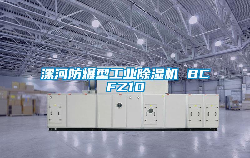 漯河防爆型工業除濕機 BCFZ10