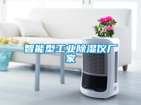 智能型工業除濕儀廠家