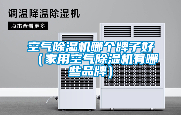 空氣除濕機哪個牌子好（家用空氣除濕機有哪些品牌）