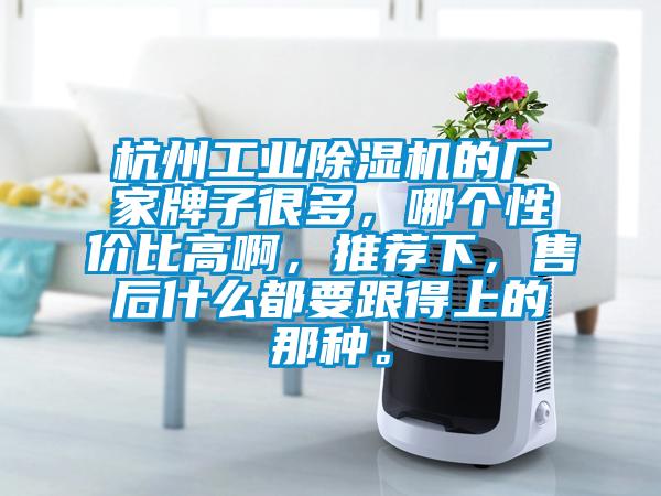 杭州工業(yè)除濕機的廠家牌子很多，哪個性價比高啊，推薦下，售后什么都要跟得上的那種。