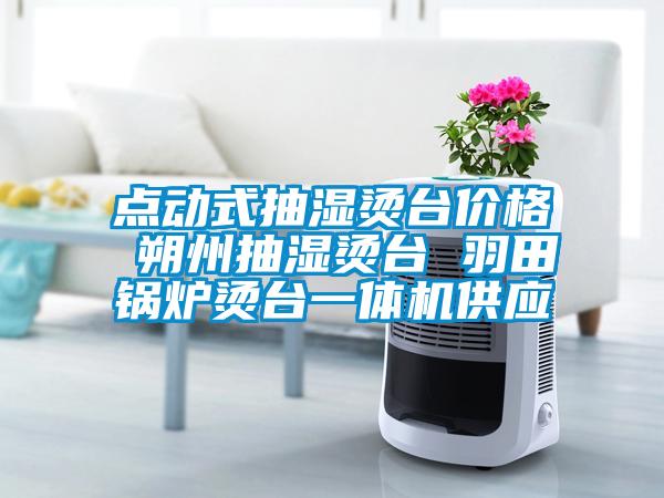 點動式抽濕燙臺價格 朔州抽濕燙臺 羽田鍋爐燙臺一體機供應
