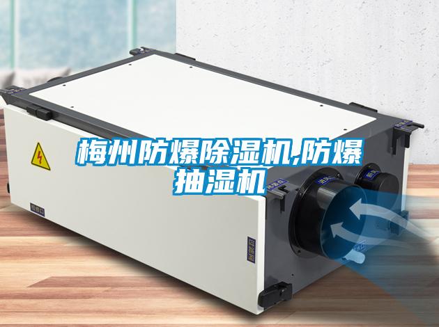 梅州防爆除濕機(jī),防爆抽濕機(jī)