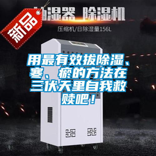 用最有效拔除濕、寒、瘀的方法在三伏天里自我救贖吧！