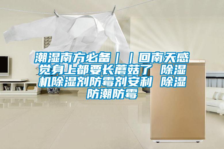 潮濕南方必備｜｜回南天感覺身上都要長蘑菇了 除濕機除濕劑防霉劑安利 除濕防潮防霉