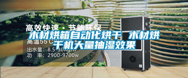 木材烘箱自動化烘干 木材烘干機大量抽濕效果