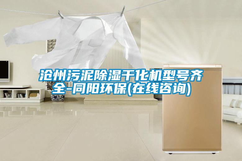 滄州污泥除濕干化機型號齊全-同陽環保(在線咨詢)