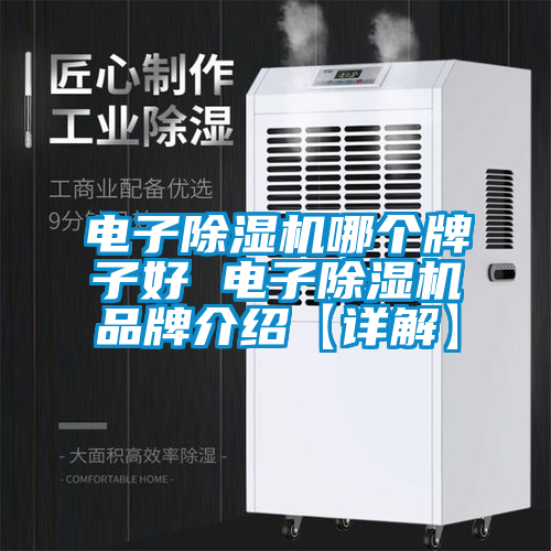 電子除濕機(jī)哪個牌子好 電子除濕機(jī)品牌介紹【詳解】