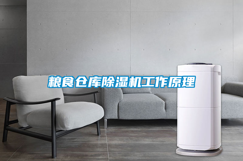糧食倉(cāng)庫(kù)除濕機(jī)工作原理