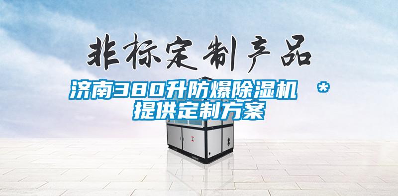 濟南380升防爆除濕機 ＊提供定制方案