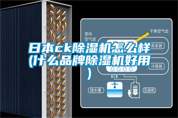 日本ck除濕機怎么樣(什么品牌除濕機好用)