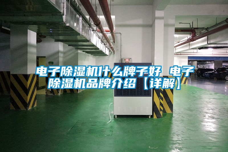 電子除濕機什么牌子好 電子除濕機品牌介紹【詳解】