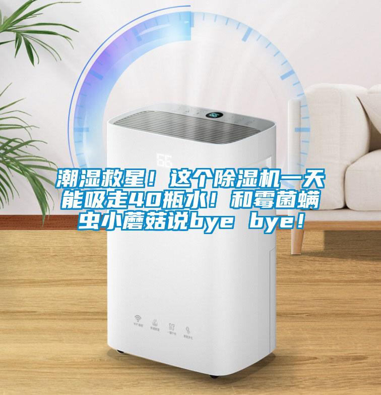 潮濕救星！這個(gè)除濕機(jī)一天能吸走40瓶水！和霉菌螨蟲小蘑菇說bye bye！