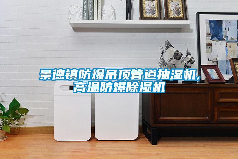 景德鎮防爆吊頂管道抽濕機,高溫防爆除濕機