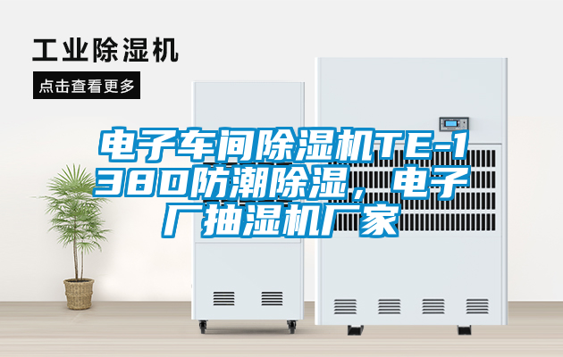 電子車間除濕機TE-138D防潮除濕，電子廠抽濕機廠家