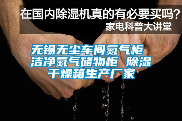 無錫無塵車間氮氣柜 潔凈氮氣儲物柜 除濕干燥箱生產廠家