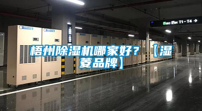 梧州除濕機(jī)哪家好？【濕菱品牌】