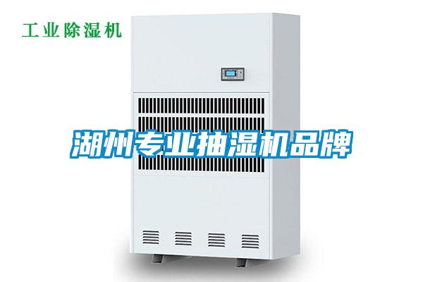 湖州專業抽濕機品牌